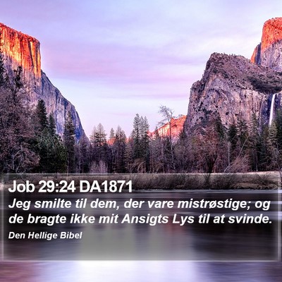 Job 29:24 DA1871 Bible Verse Image