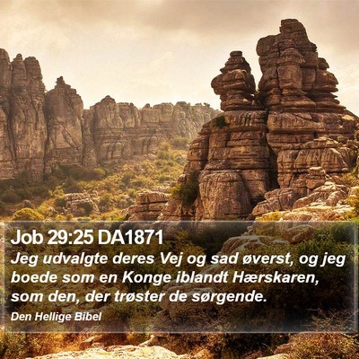 Job 29:25 DA1871 Bible Verse Image
