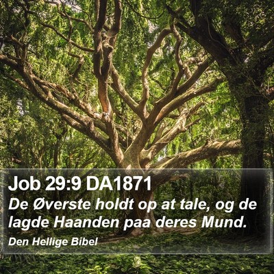 Job 29:9 DA1871 Bible Verse Image