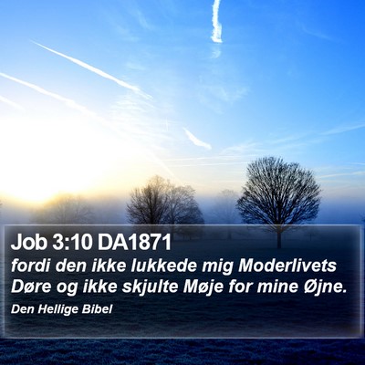 Job 3:10 DA1871 Bible Verse Image