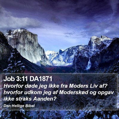 Job 3:11 DA1871 Bible Verse Image