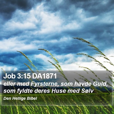 Job 3:15 DA1871 Bible Verse Image