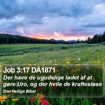 Job 3:17 DA1871 Bible Verse Image