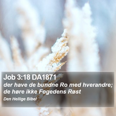 Job 3:18 DA1871 Bible Verse Image