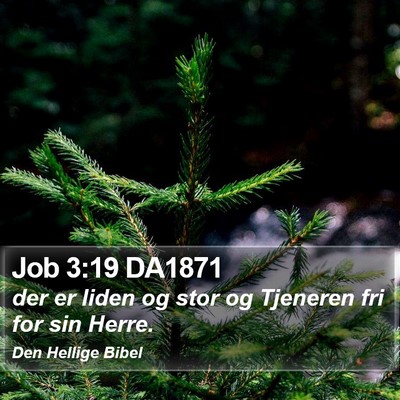 Job 3:19 DA1871 Bible Verse Image