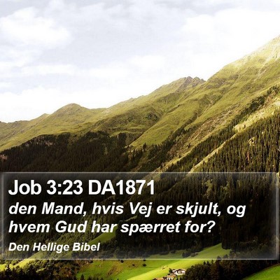 Job 3:23 DA1871 Bible Verse Image