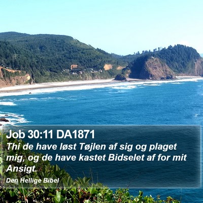 Job 30:11 DA1871 Bible Verse Image
