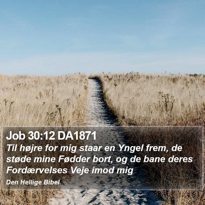 Job 30:12 DA1871 Bible Verse Image