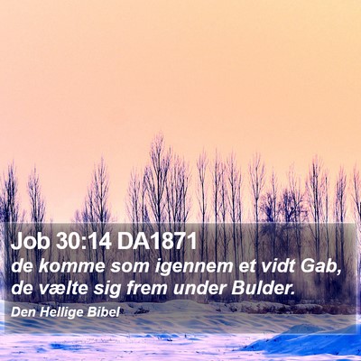 Job 30:14 DA1871 Bible Verse Image