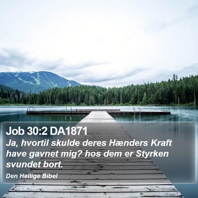 Job 30:2 DA1871 Bible Verse Image
