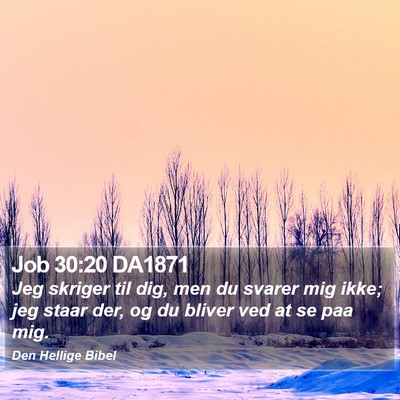 Job 30:20 DA1871 Bible Verse Image