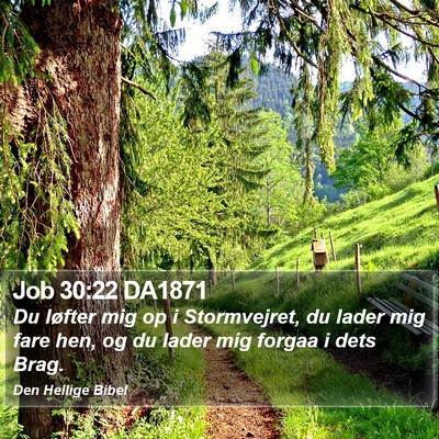 Job 30:22 DA1871 Bible Verse Image