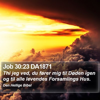 Job 30:23 DA1871 Bible Verse Image