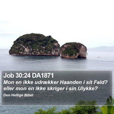Job 30:24 DA1871 Bible Verse Image