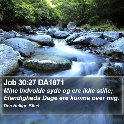 Job 30:27 DA1871 Bible Verse Image