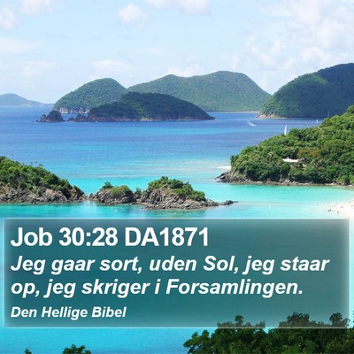Job 30:28 DA1871 Bible Verse Image