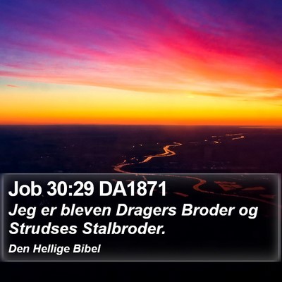 Job 30:29 DA1871 Bible Verse Image