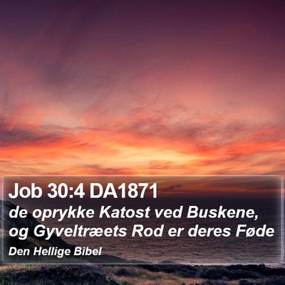 Job 30:4 DA1871 Bible Verse Image
