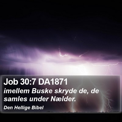 Job 30:7 DA1871 Bible Verse Image