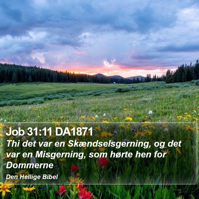 Job 31:11 DA1871 Bible Verse Image