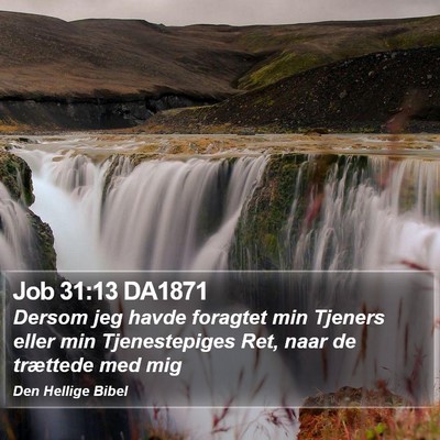 Job 31:13 DA1871 Bible Verse Image