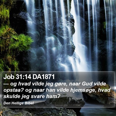 Job 31:14 DA1871 Bible Verse Image