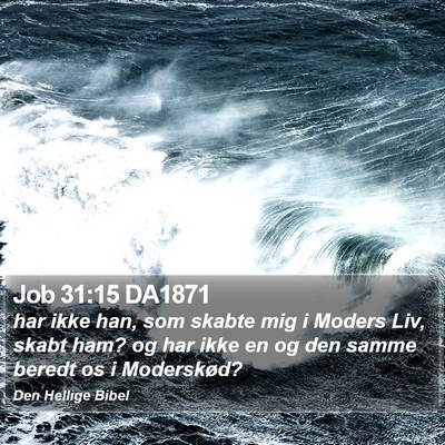 Job 31:15 DA1871 Bible Verse Image