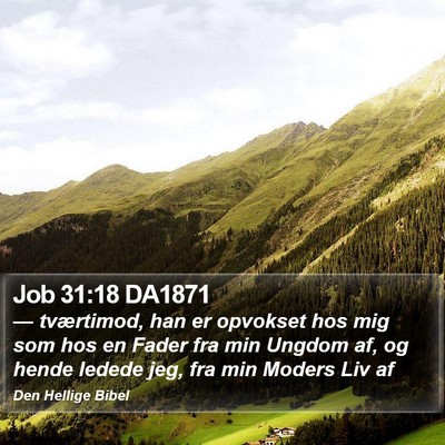 Job 31:18 DA1871 Bible Verse Image