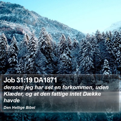 Job 31:19 DA1871 Bible Verse Image