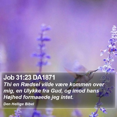 Job 31:23 DA1871 Bible Verse Image