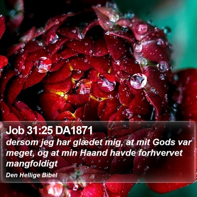 Job 31:25 DA1871 Bible Verse Image