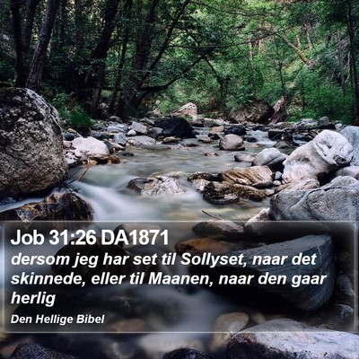 Job 31:26 DA1871 Bible Verse Image