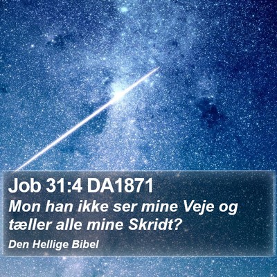Job 31:4 DA1871 Bible Verse Image