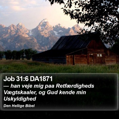 Job 31:6 DA1871 Bible Verse Image