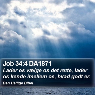 Job 34:4 DA1871 Bible Verse Image