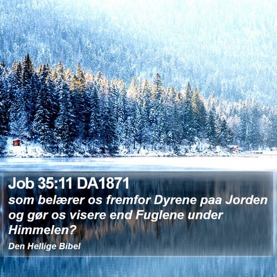Job 35:11 DA1871 Bible Verse Image