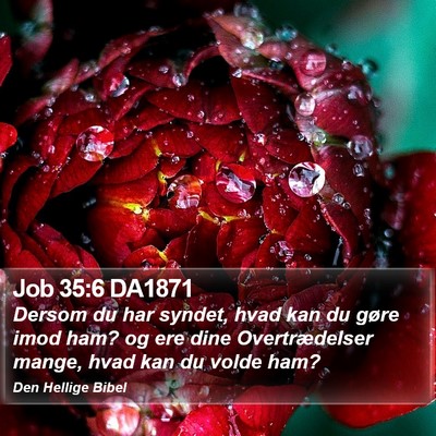 Job 35:6 DA1871 Bible Verse Image