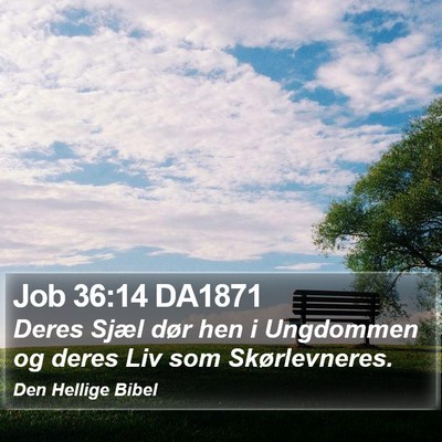 Job 36:14 DA1871 Bible Verse Image