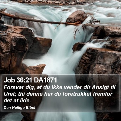 Job 36:21 DA1871 Bible Verse Image