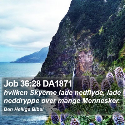 Job 36:28 DA1871 Bible Verse Image