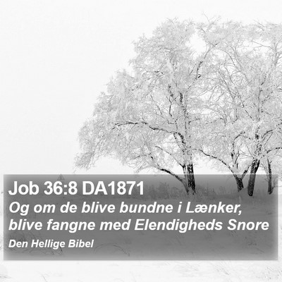 Job 36:8 DA1871 Bible Verse Image