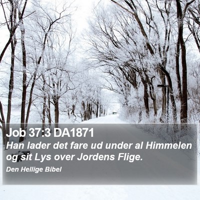Job 37:3 DA1871 Bible Verse Image