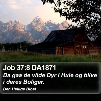 Job 37:8 DA1871 Bible Verse Image