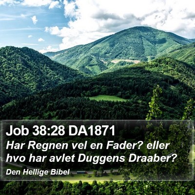Job 38:28 DA1871 Bible Verse Image
