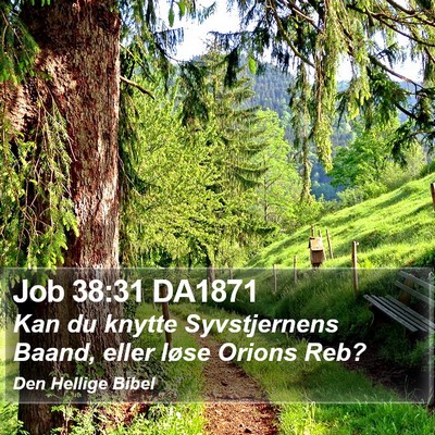 Job 38:31 DA1871 Bible Verse Image
