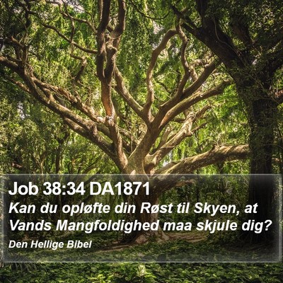 Job 38:34 DA1871 Bible Verse Image
