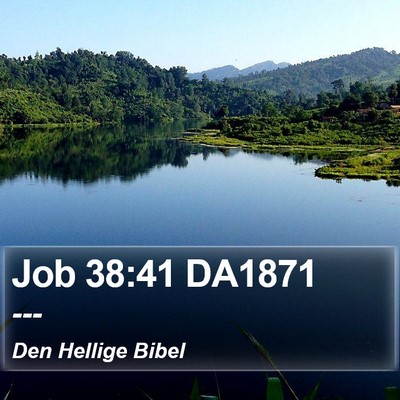 Job 38:41 DA1871 Bible Verse Image