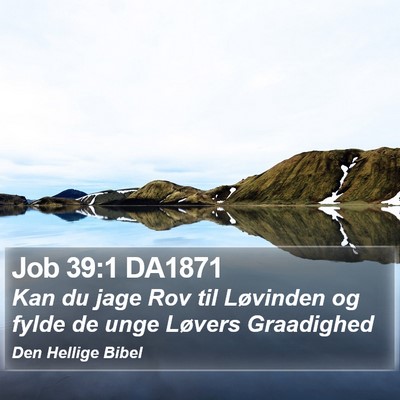 Job 39:1 DA1871 Bible Verse Image