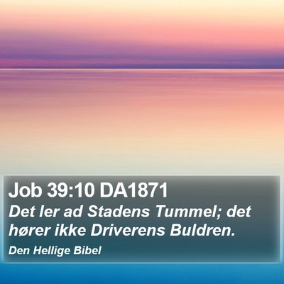 Job 39:10 DA1871 Bible Verse Image