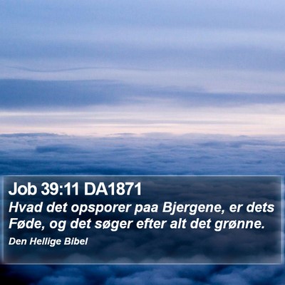 Job 39:11 DA1871 Bible Verse Image